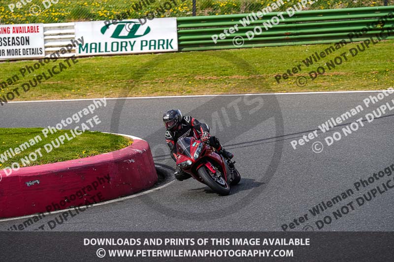 enduro digital images;event digital images;eventdigitalimages;mallory park;mallory park photographs;mallory park trackday;mallory park trackday photographs;no limits trackdays;peter wileman photography;racing digital images;trackday digital images;trackday photos